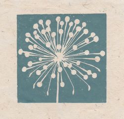 Allium seed head mini print, Striped Pebble
