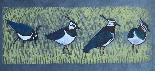 Lapwings on blue, Striped Pebble