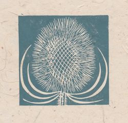 Teasel seed head mini print, Striped Pebble