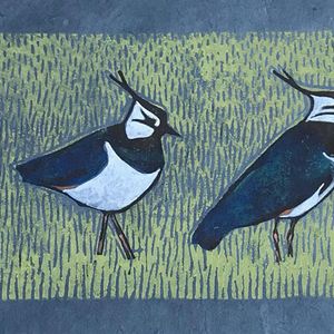Lapwings on blue, Striped Pebble