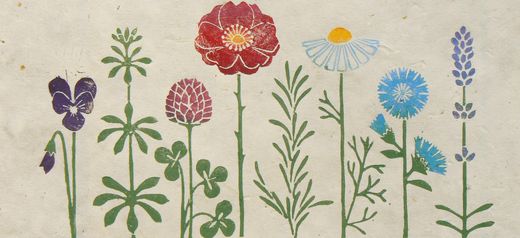 Apothecary's Garden, Striped Pebble